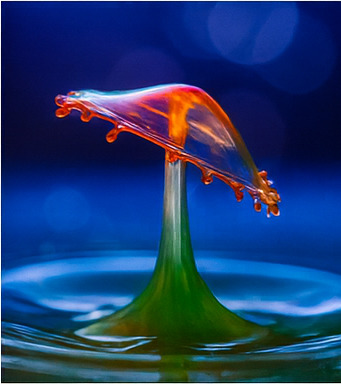 새로운 탐험 세계로 출발